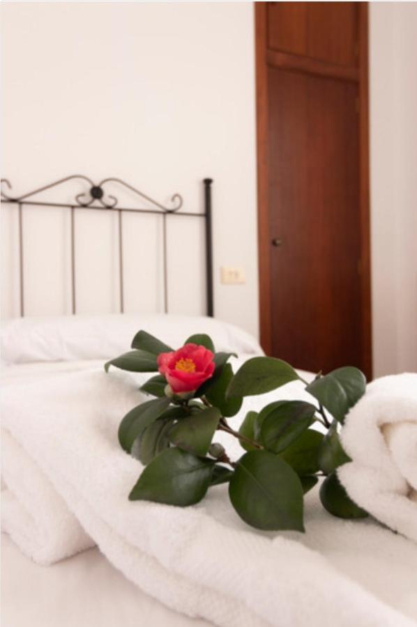 Hostal San Cristobal - Pontedeume Екстериор снимка